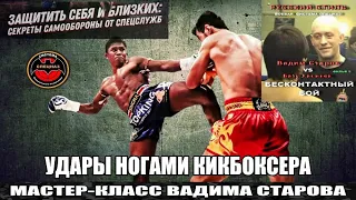 Вадим Старов vs Бату Хасиков защита против ударов ногами чемпионов мира по кикбоксингу и тхеквондо!