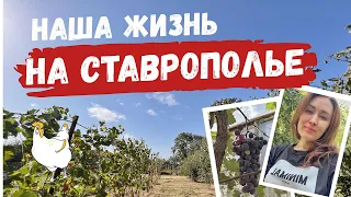 Наша жизнь на Ставрополье 🐑 Our Life in the Stavropol Region