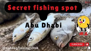 Secret Fishing Spot in Abu Dhabi