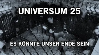 Das verstörende Experiment “Universe 25”!