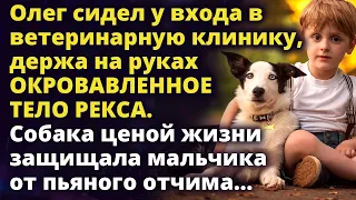 Олег сидел у входа в ветеринарную клинику, держа Рекса. Счет шел на минуты Истории любви до слез