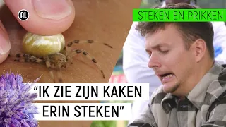 JURRE WORDT GEBETEN DOOR EEN SPIN!  | Steken en Prikken #9 | NPO Zapp