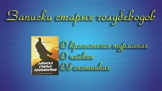 Турманы и чайки. Лекция первая. Книга Записки старых голубеводов. Константин Шарпов.