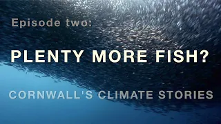 Cornwall's Climate Stories: Plenty More Fish?