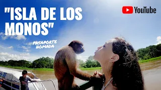 ¿voluntariado? Te recomiendo la Isla de los monos