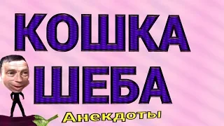 #Кошка_Шеба и ДЕД21 в анекдотах от 16 июля 2019.