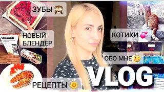 VLOG/ ОТВЕЧАЮ НА КОММЕНТАРИИ/ ОБО МНЕ/ КОТИКИ 💕/ НОВЫЙ БЛЕНДЕР Oberhof Wirbel E21/ ПОКУПКИ/ РЕЦЕПТЫ