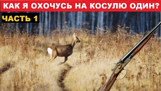 💥КАК Я ОХОЧУСЬ НА КОСУЛЮ ОДИН?! Ч.1