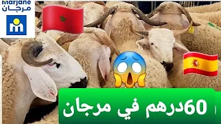 شوف ثمن خرفان في مرجان سوق مغربي عيد الاضحى😱