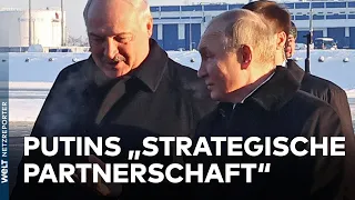 WLADIMIR PUTIN: "Strategische Partnerschaft!" Kremlchef reist zu Lukaschenko nach Belarus