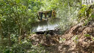 Caterpillar D6R XL bulldozer working to open new roads on residents' plantations