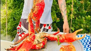 KING CRAB 🦀 CATCH AND COOK!!!!JAMAICA🇯🇲