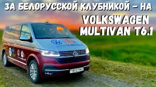 За белорусской клубникой - на Volkswagen Multivan T6.1