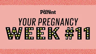 Your pregnancy: 11 weeks