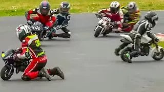 Moto GP for Kids from Age of 6: 2017 British Minibikes Championship: Rd 5, Minimoto Pro