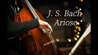 1HRㅣ J. S. Bach AriosoㅣCello MusicㅣDeep SleepㅣRelaxingㅣPeacfulㅣClassical CelloㅣHealing Music