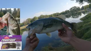 SUMMERTIME Bass Fishing FROM THE BANK (3 Lures You NEED) DROP SHOT FISHING