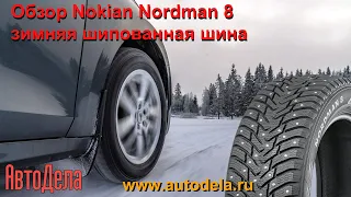 Обзор Nokian Nordman 8 – зимние шипованные шины