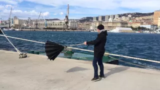 Kisha Umbrella Windproof Test