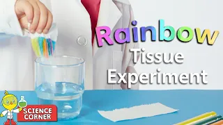 Chirp Science Corner:  🌈 Rainbow Tissue Experiment