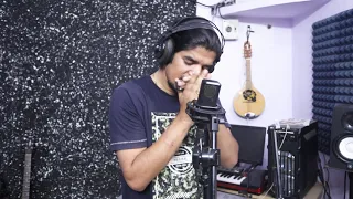 Here I am to worship (Reggae Style) Mouth organ Cover