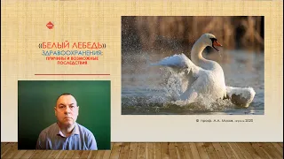 Коронавирус - «Белый лебедь» здравоохранения - лекция профессора Александра Мохова