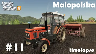 Harvesting, Cultivating and Transport Bales | Malopolska | Farming Simulator 19 | Episode 11