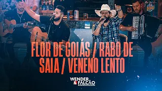 Wender e Falcão - Flor de Goiás / Rabo de saia / Veneno lento ( DVD #DoJeitãoQueNoisGosta ) #AOVIVO