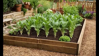 The Beginner’s Guide to Square Foot Gardening: Maximize Your Harvest!