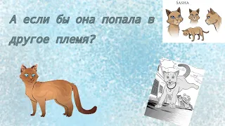 Что, если бы Саша не попала в племя Теней? •|• Clawed Tramp •|• теория #возродимрукв