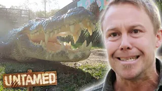Entering Massive Croc's Enclosure Is Life-Threat​en​ing Work! 😱 Bondi Vet Clip | Untamed