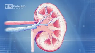 Regeneration of Diseased Kidney