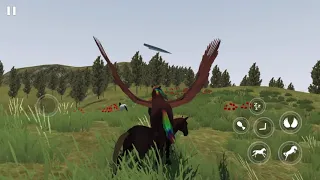 Playing Flying Unicorn Simulator 2021 As A Premium! Plus Rescuing Wild Horses