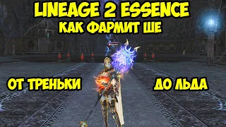 Как фармит ШЕ в Lineage 2 Essence.