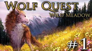 A Wild MEADOW of the Wolves!! 🐺 WOLF QUEST: WILD MEADOW • #1