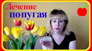 Лечение попугая от клеща//Болезни попугаев//Лекарства от клеща//Наросты