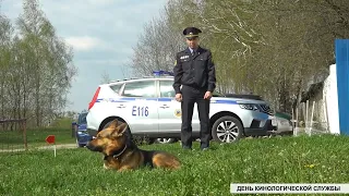 День кинологической службы: быт и служебные будни четвероногих правоохранителей