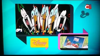 Disney Channel Asia - Split Screen Continuity (Oct. 24, 2019)