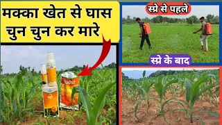 मक्का में घास मारने का दवा | Laudis Herbicide Use In Hindi | लोडिस खरपतवारनाशी कैसे काम करता है |