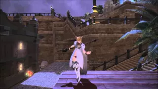 Final fantasy XIV - All classes and jobs "Victory" emote for female miqo'te