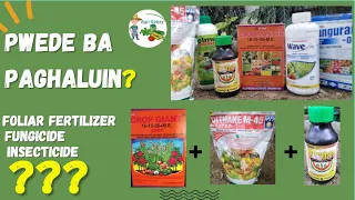 Pwede bang paghaluin ang Foliar Fertilizer, Insecticide at Fungicide?(Compatibility)