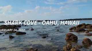 Shark Cove | North Shore Hawaii | Big Waves | 4k