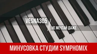 VESNA305 - Не мечтай даже | МИНУС | КАРАОКЕ | МИНУСОВКА