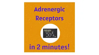 Adrenergic (adrenaline/ noradrenaline) Receptors in under 2 mins!