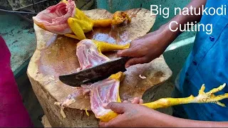 Fighting Rooster Big Country chicken cutting | big natukodi cutting skills | Village Cutting Skills