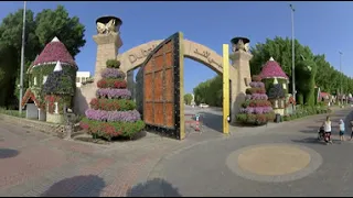 Дубаи360/Путевые Заметки - 360 видео - прогулка по пустому Саду Чудес/Miracle Garden в Дубаи, ч.01