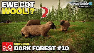 NEW SOURCE OF INCOME!! [Dark Forest Survival] FS22 Timelapse # 10