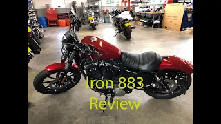 Harley Davidson Iron 883 Review - Good Beginner Bike?
