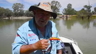 MONSTER MURRAY COD ACTION WITH CODMAC AND AJ