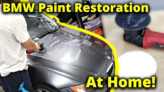 Making my 335i Wagon Shine Like NEW! (DIY Paint Restoration)